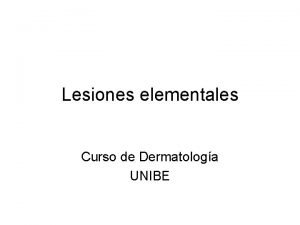 Lesiones elementales Curso de Dermatologa UNIBE Epidermis Dermis