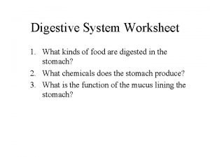 Food breakdown worksheet