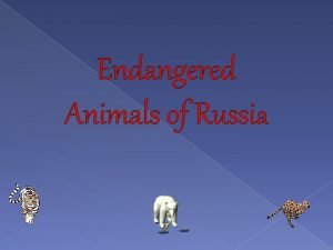 Endangered animals in russia