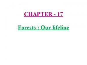 Forest our lifeline