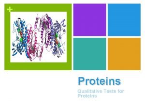 Characteristics of proteins