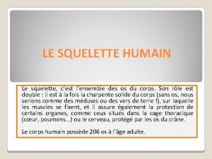 LE SQUELETTE HUMAIN Le squelette cest lensemble des