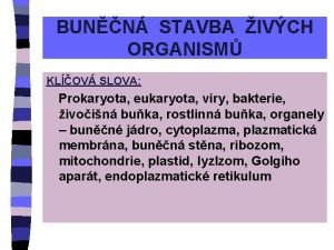 BUNN STAVBA IVCH ORGANISM KLOV SLOVA Prokaryota eukaryota