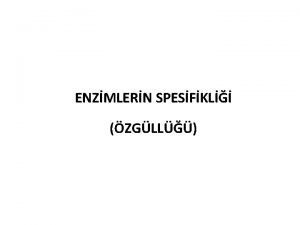 ENZMLERN SPESFKL ZGLL Enzimler hem katalizledikleri reaksiyon tiplerine