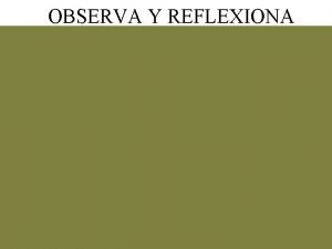 OBSERVA Y REFLEXIONA PRAE Que Significa Proyecto Ambiental