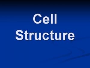 Cell Structure Two Types of Cells n Prokaryotes