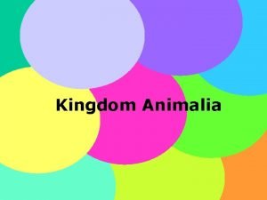 Kingdom Animalia Animalia APAKAH HEWAN ITU 1 Organisme