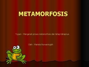 METAMORFOSIS Tujuan Mengenali proses metamorfosis dan tahaptahapnya Oleh