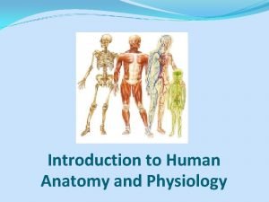 Introduction to Human Anatomy and Physiology Anatomy the