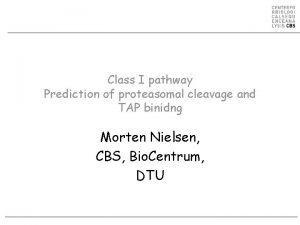 Class I pathway Prediction of proteasomal cleavage and