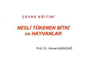 EVRE ETM NESL TKENEN BTK ve HAYVANLAR Prof