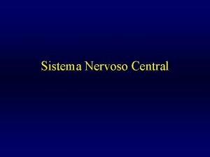 Sistema Nervoso Central SISTEMA NERVOSO O sistema nervoso