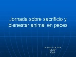 Jornada sobre sacrificio y bienestar animal en peces