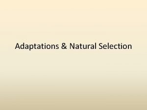 Adaptations Natural Selection NICHE A habitat supplying factors