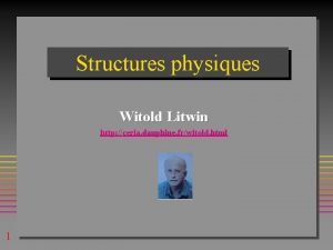 Witold litwin