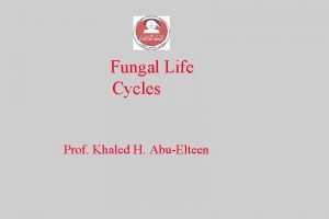 Generalized fungal life cycle