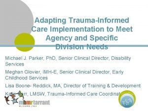 Adapting TraumaInformed Care Implementation to Meet Agency and