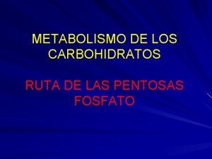 METABOLISMO DE LOS CARBOHIDRATOS RUTA DE LAS PENTOSAS