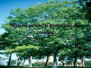 Materiale din cauciuc