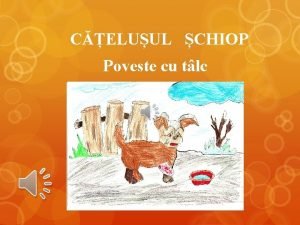 Catelusul schiop poveste