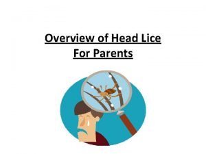 Lice