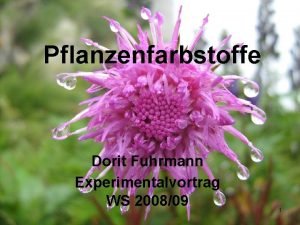 Pflanzenfarbstoffe Dorit Fuhrmann Experimentalvortrag WS 200809 1 Gliederung