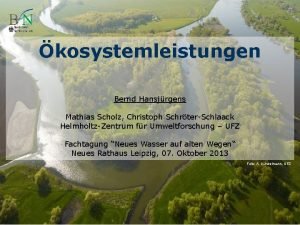 kosystemleistungen Bernd Hansjrgens Mathias Scholz Christoph SchrterSchlaack HelmholtzZentrum