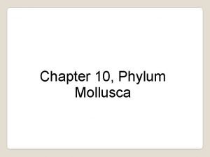 Chapter 10 Phylum Mollusca Characteristics of Phylum Mollusca