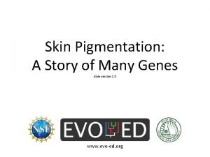 Skin Pigmentation A Story of Many Genes slide