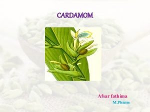 CARDAMOM Afsar fathima M Pharm It is a