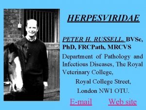 HERPESVIRIDAE PETER H RUSSELL BVSc Ph D FRCPath