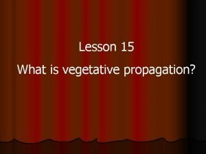 Lesson 15 What is vegetative propagation Plants are