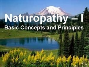 12 basic principles of naturopathy