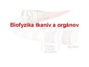 Biofyzika tkanv a orgnov Mechanick vlastnosti tkanv Statick