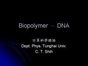Biopolymer DNA Dept Phys Tunghai Univ C T