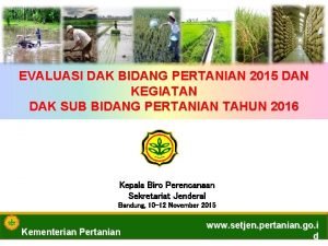 EVALUASI DAK BIDANG PERTANIAN 2015 DAN KEGIATAN DAK