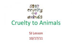11 facts about animal cruelty