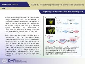 BMAT DMR 1322332 INSPIRE Programming Materials via Biomolecular