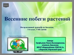 2001 2001 http easyen ruloadshablonyprezentacijuniversalnyeshablonyuniversalnyjshablontelevizorstekhnologicheskimprijomom ehkran509 1 0