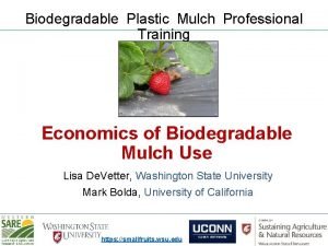 Biodegradable Plastic Mulch Professional Training Economics of Biodegradable