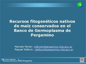 Recursos fitogenticos nativos de maz conservados en el