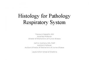 Histology for Pathology Respiratory System Theresa Kristopaitis MD
