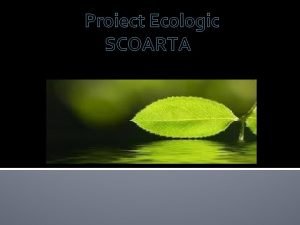 Proiect ecologic