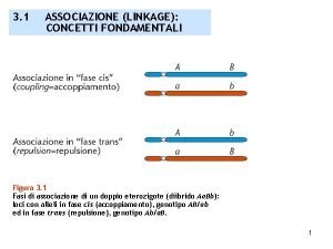 Frequenza di ricombinazione