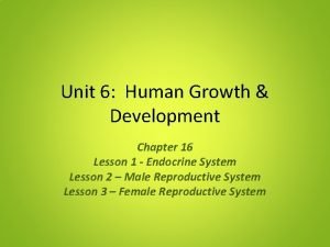 Chapter 16 lesson 3 the female reproductive system
