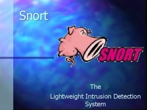 Snort The Lightweight Intrusion Detection System The other