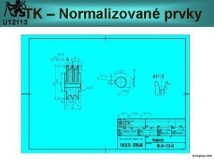 TK Normalizovan prvky U 12113 Pospchal 2006 Zvity