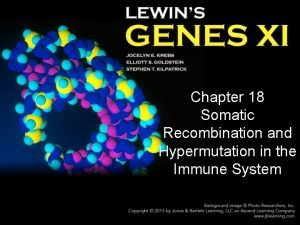 Chapter 18 Somatic Recombination and Hypermutation in the