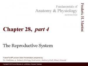 Anatomy Physiology SIXTH EDITION Chapter 28 part 4