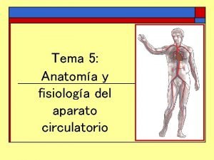 Tema 5 Anatoma y fisiologa del aparato circulatorio